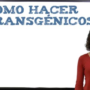 Microorganismos transgénicos: cómo hacer transgénicos