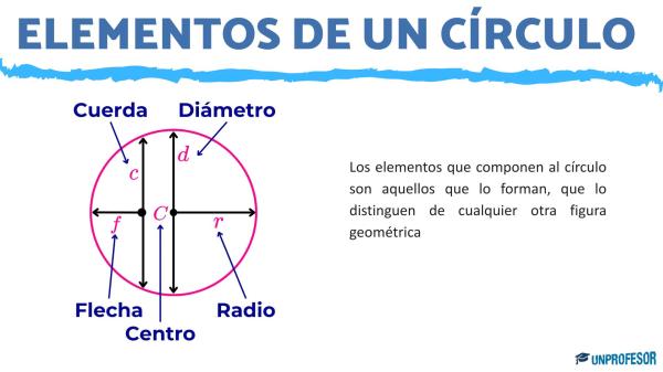 Elementos de un círculo - Cuáles son los elementos de un círculo