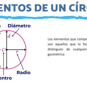 Elementos de un círculo