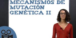 Mecanismos de mutación genética II