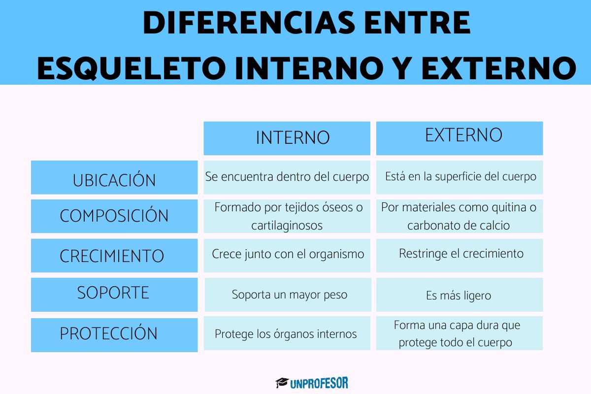 Esqueleto interno y externo: diferencias