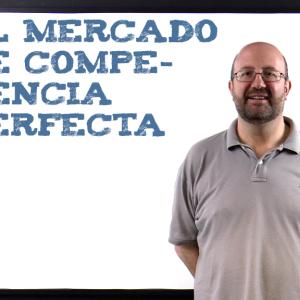 El mercado de competencia perfecta