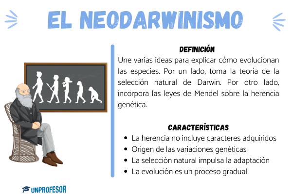 Neodarwinismo: características principales - Cuáles son las características del neodarwinismo