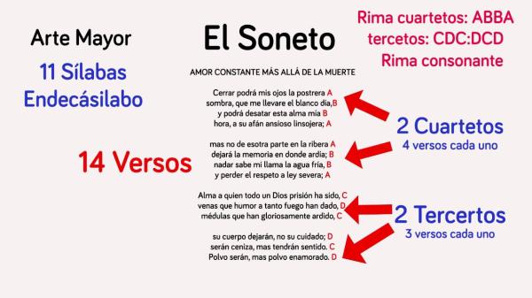 Estructura de un soneto - ¡Con ejemplos! - ¿Qué es un soneto y cuáles son sus características? 