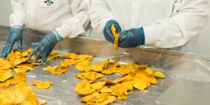 Qué formación necesita un manipulador de alimentos