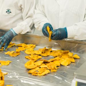Qué formación necesita un manipulador de alimentos