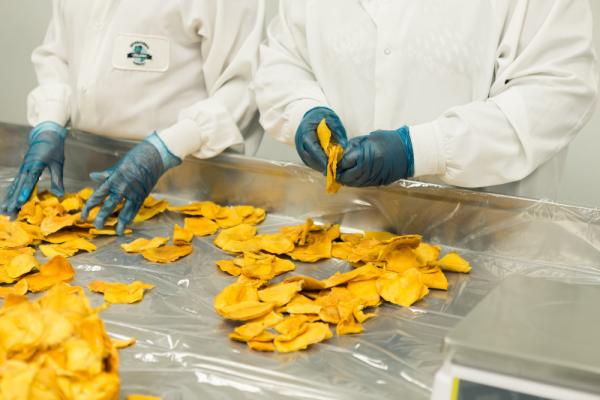 Qué formación necesita un manipulador de alimentos