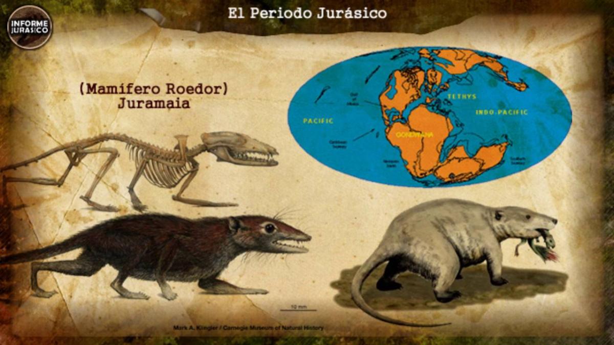 Características del periodo Jurásico
