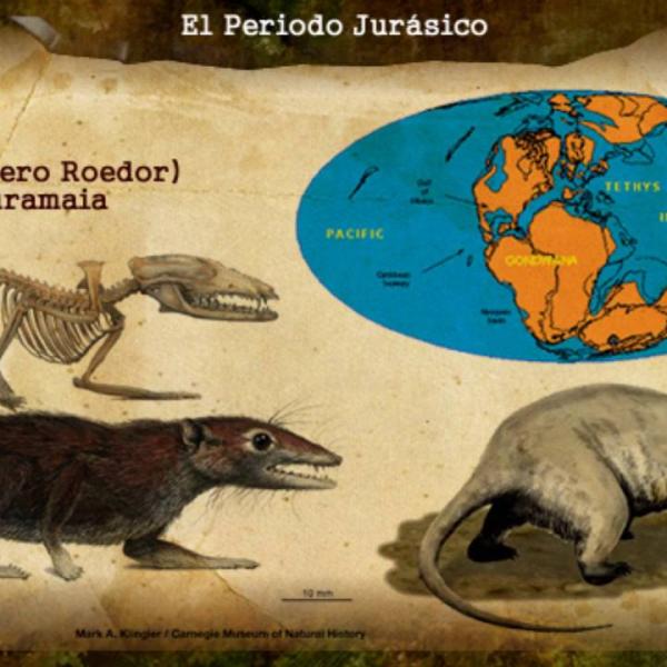 lista de dinosaurios del periodo jurásico