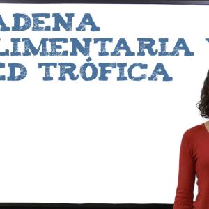 Cadena alimentaria y red trófica