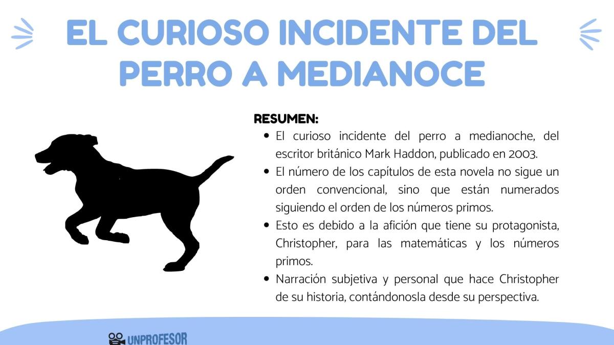 El curioso incidente del perro a medianoche: resumen por capítulos