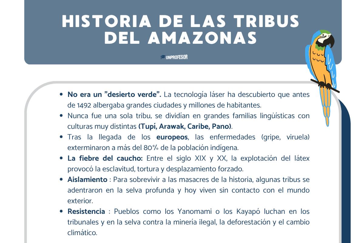 Historia de las tribus del Amazonas: resumen