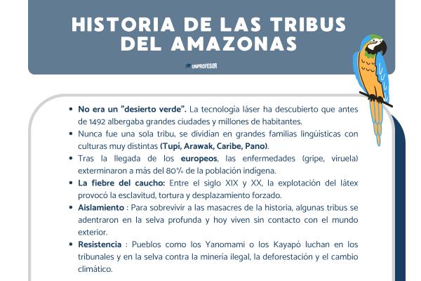 Historia de las tribus del Amazonas: resumen - ¿Qué tribus habitaban en el Amazonas? Origen 