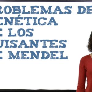 Problemas de genética de los guisantes de Mendel