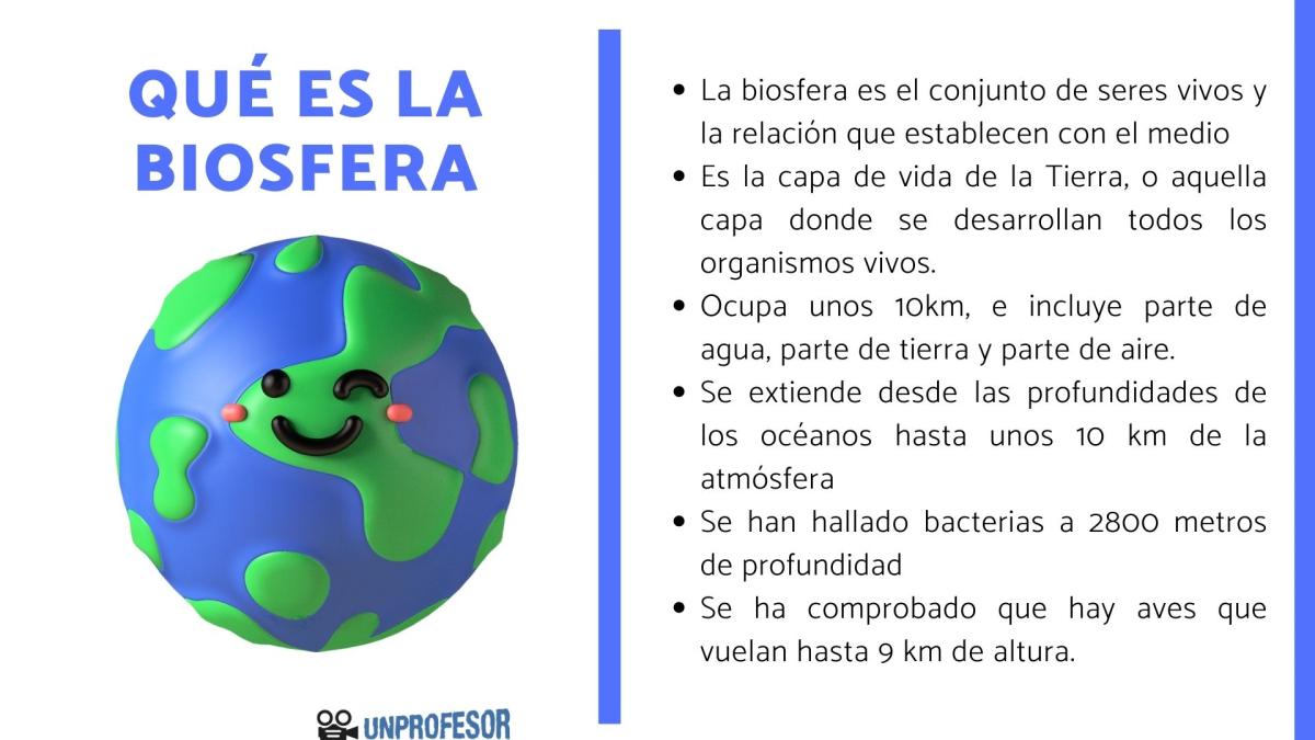 Qué es la biosfera