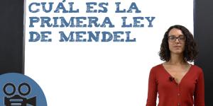 Cuál es la primera ley de Mendel