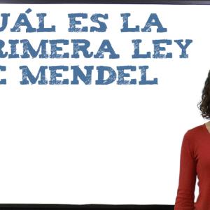 Cuál es la primera ley de Mendel