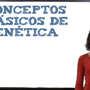 Conceptos básicos de genética