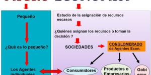 Microeconomía: definición corta