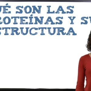 Qué son las proteínas y su estructura