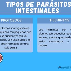 Tipos de parásitos intestinales